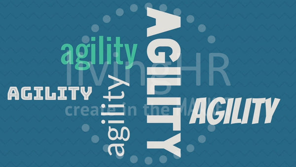 &lead Microlearning: Agility Video