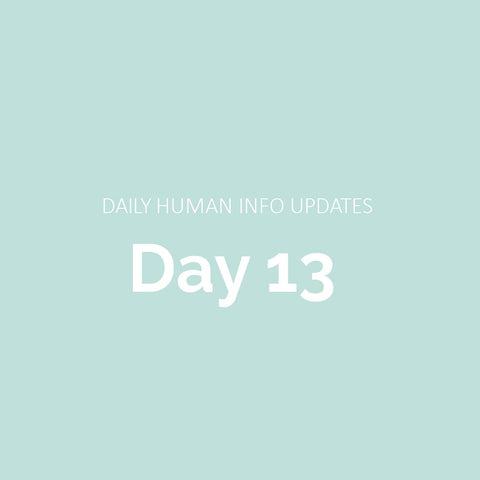 Daily Human Info Updates (Day 13)