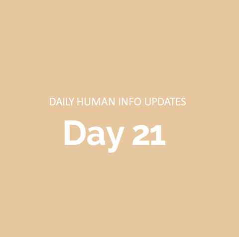 Daily Human Info Updates (Day 21)