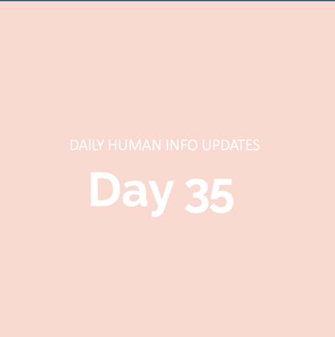 Daily Human Info Updates (Day 35)