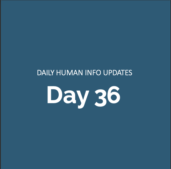 Daily Human Info Updates (Day 36)